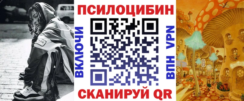 наркошоп  Макаров  Галлюциногенные грибы мицелий 