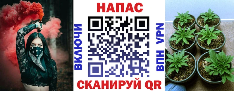 Каннабис White Widow  Макаров 